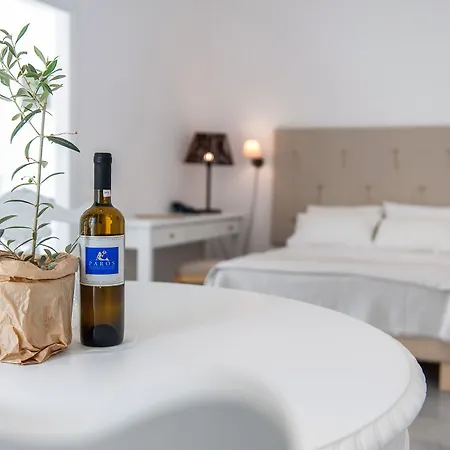 Hotel Parosland 4*