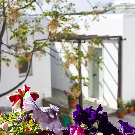 Parosland Hotel 4*